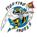 fightingangelsvbmerch